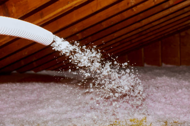 Best Fiberglass Insulation in Hawaiian Acres, HI